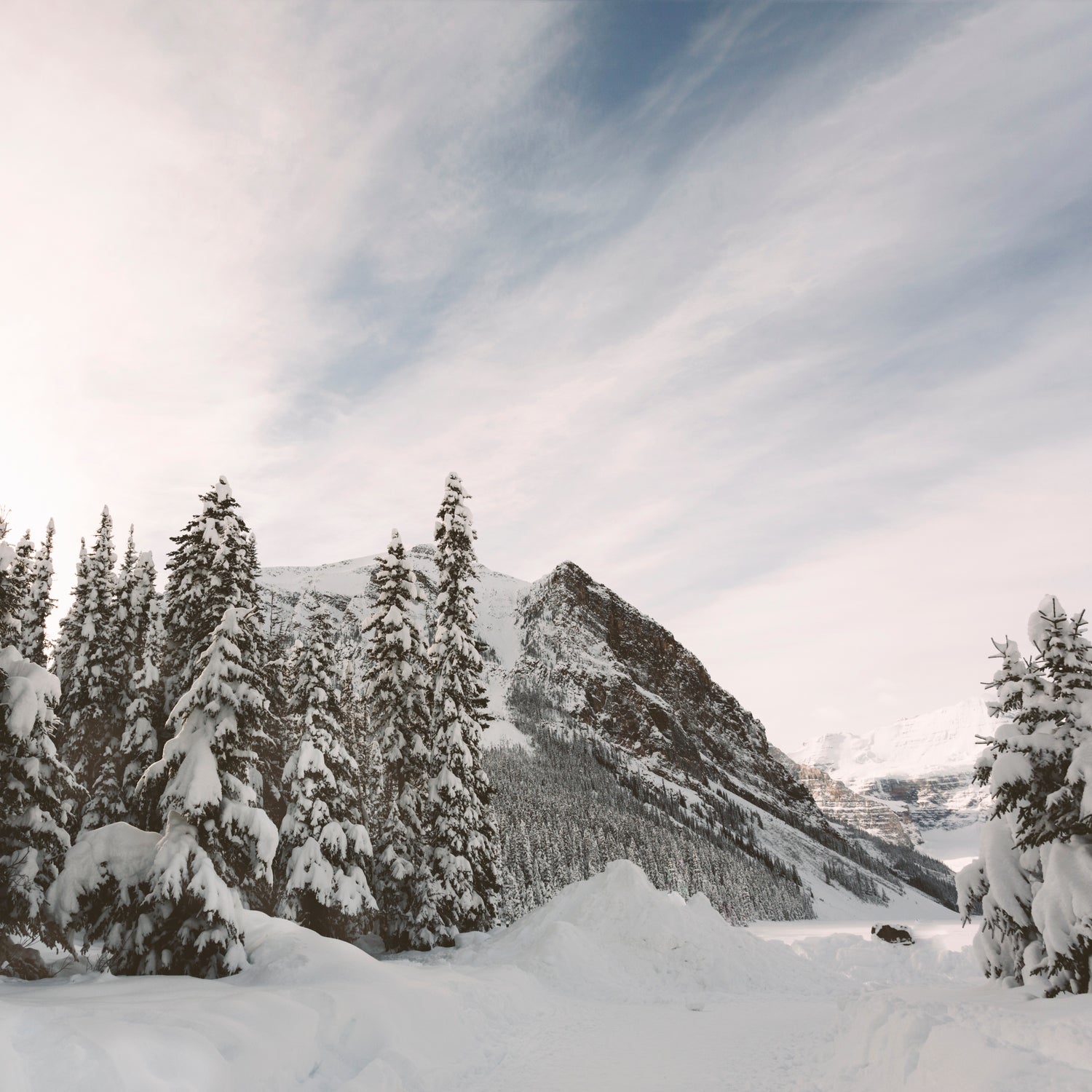 Verschneite Berglandschaft mit Tannen – Inspiration hinter der DESTINED Marke
