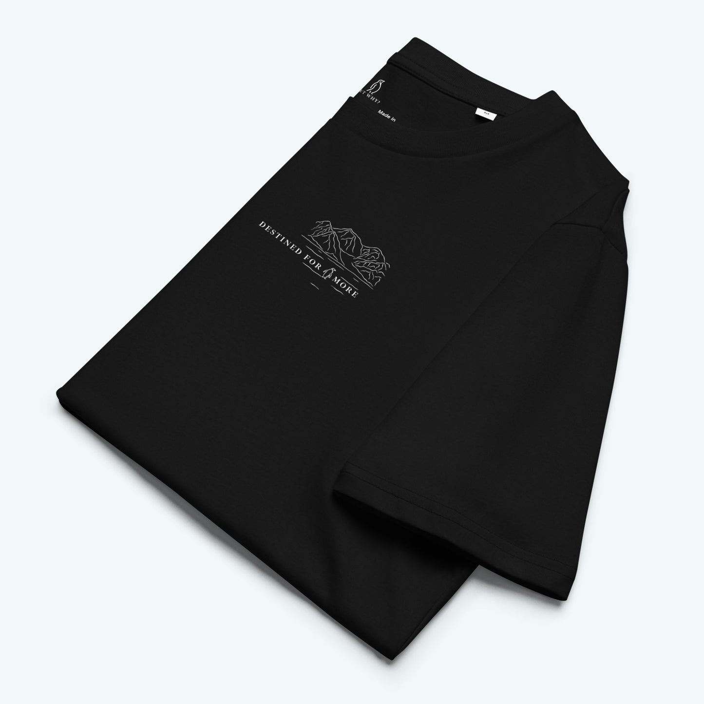 DESTINED FOR MORE Premium T-Shirt